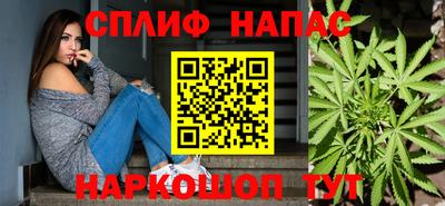 гашик Кунгур