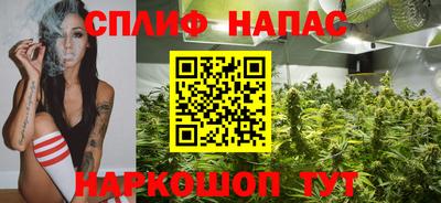 гашик Кунгур