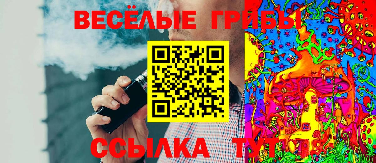 Псилоцибиновые грибы Psilocybine cubensis Домодедово