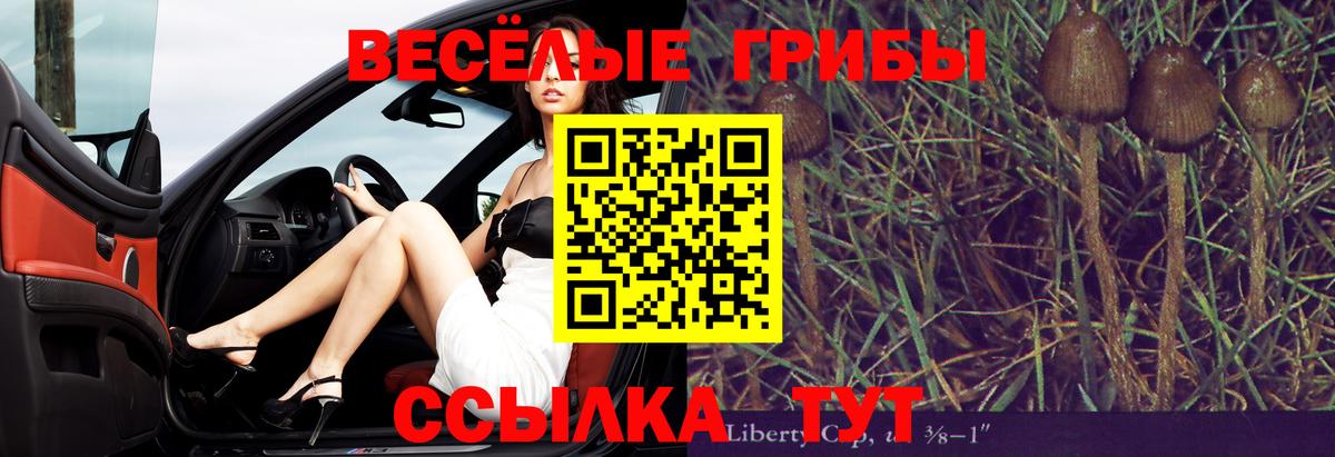 Домодедово  Галлюциногенные грибы ЛСД  Вход с VPN 